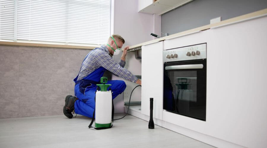 Why choose QPC North Bend for quarterly pest control in North Bend